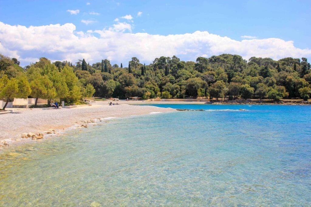 Vila Una With Private Pool Near Rovinj - Open 2022 Rovinjsko Selo Luaran gambar